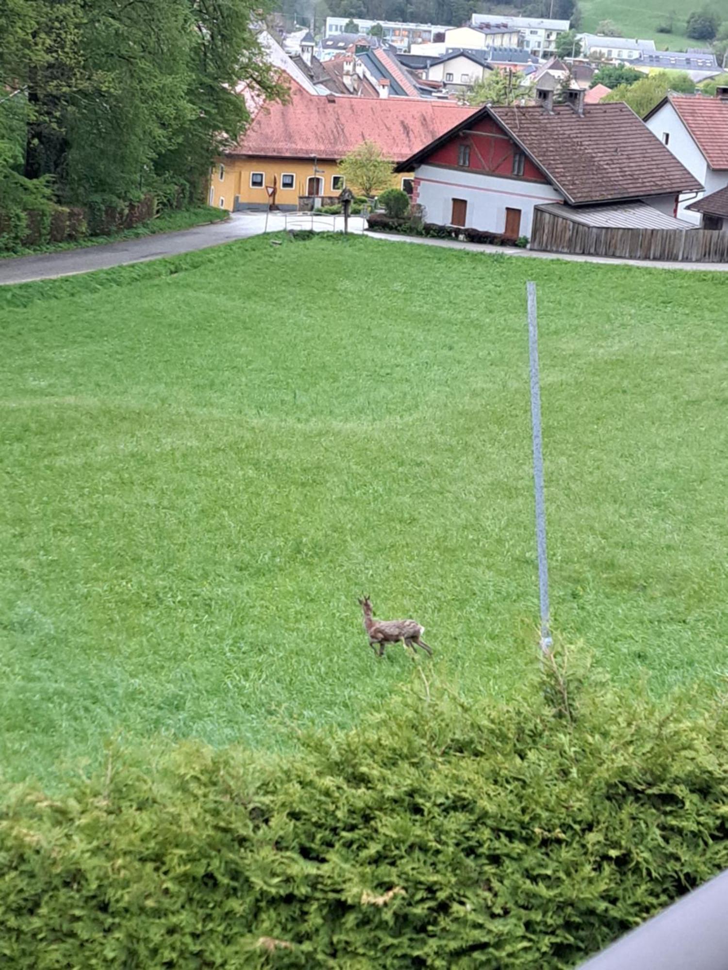 Haus Am Schloss Lejlighed Bleiburg Eksteriør billede